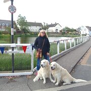 House Sitter - Caring, honest retired couple 