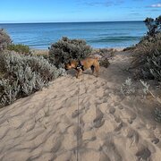Home Owner wanting sitter in Mandurah , Western Australia