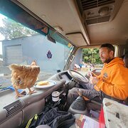 House Sitter - Ru and Ollie