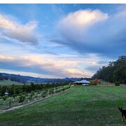 Home Owner wanting sitter in Bunbury, Western Australia