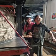 House Sitter - Semi retired experienced sitter