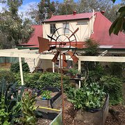 Home Owner wanting sitter in , South Australia