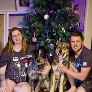 Home Owner wanting sitter in Warrnambool, Victoria