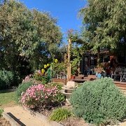 Home Owner wanting sitter in Hobart, Tasmania