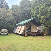 Home Owner wanting sitter in Brisbane, New South Wales