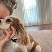 House Sitter - Deb : 5 Star Pet and Home Sitter