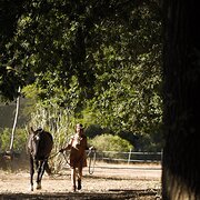 Home Owner wanting sitter in Bunbury, Western Australia