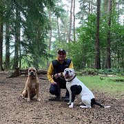 House Sitter - Greigy - reliable and friendly. 