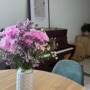 Home Owner wanting sitter in Melbourne , Victoria