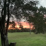 Home Owner wanting sitter in Canberra , New South Wales