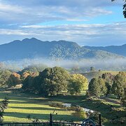 Home Owner wanting sitter in , New South Wales