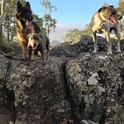 Home Owner wanting sitter in  Brisbane , Queensland