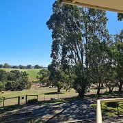 Home Owner wanting sitter in Mount Barker or Modbury, South Australia
