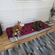 Home Owner wanting sitter in Inverell, New South Wales
