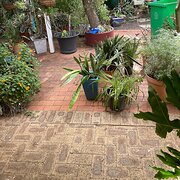 Home Owner wanting sitter in Bunbury, Western Australia