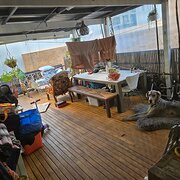 Home Owner wanting sitter in Sydney City, New South Wales