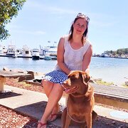 House Sitter - Reliable and trustworthy housesitter