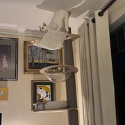 Home Owner wanting sitter in Adelaide , South Australia