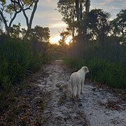Home Owner wanting sitter in Bunbury , Western Australia