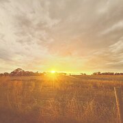 Home Owner wanting sitter in Shepparton , Victoria