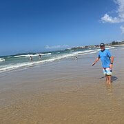 House Sitter - Happy Sitters