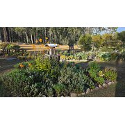 Home Owner wanting sitter in GRAFTON, New South Wales