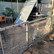 Home Owner wanting sitter in Brisbane, Queensland