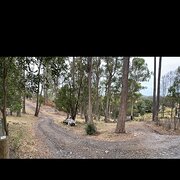 Home Owner wanting sitter in , Tasmania