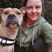 House Sitter - Reliable housesitter with 20 years' expe