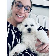 House Sitter - Clean, quiet and reliable house sitter