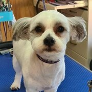 Home Owner wanting sitter in Gold Coast, New South Wales