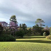 Home Owner wanting sitter in Maitland, New South Wales