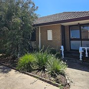 Home Owner wanting sitter in Melbourne, Victoria