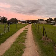 Home Owner wanting sitter in , Western Australia