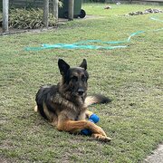 Home Owner wanting sitter in , New South Wales