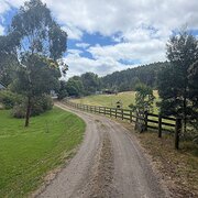 Home Owner wanting sitter in Colac, Victoria