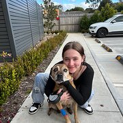 House Sitter - your fun, loving carer🥰
