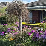 Home Owner wanting sitter in Geelong, Victoria