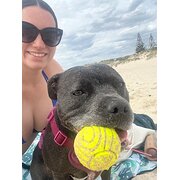 House Sitter -   Trusted House & Pet Sitter