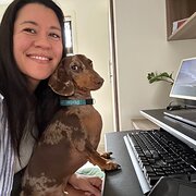 House Sitter - Friendly Dog Cuddler At Your Service!