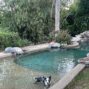 Home Owner wanting sitter in Cairns, Queensland