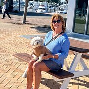 House Sitter - Happy pets