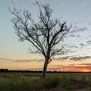 Home Owner wanting sitter in Darwin, Northern Territory