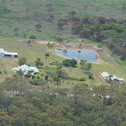 Home Owner wanting sitter in Bundaberg, Queensland