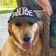 Home Owner wanting sitter in Joondalup , Western Australia