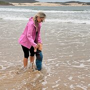 House Sitter - Caring, tidy and love walks!