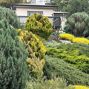 Home Owner wanting sitter in Adelaide, South Australia