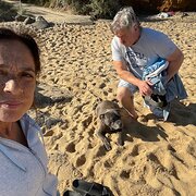 House Sitter - Sheila & Joe
