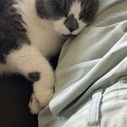 Home Owner wanting sitter in Angle Park, South Australia