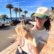 House Sitter - Friendly and neat pet sitter in NSW